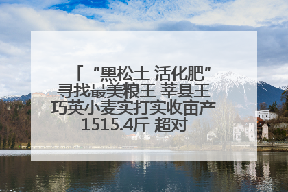 “黑松土 活化肥”寻找最美粮王 莘县王巧英小麦实打实收亩产1515.4斤 超对照田144斤！