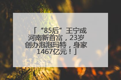“85后”王宁成河南新首富，23岁创办泡泡玛特，身家1467亿元！