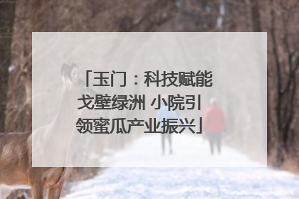 玉门：科技赋能戈壁绿洲 小院引领蜜瓜产业振兴