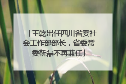 王乾出任四川省委社会工作部部长，省委常委靳磊不再兼任