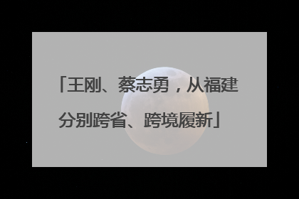 王刚、蔡志勇，从福建分别跨省、跨境履新