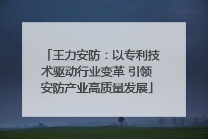 王力安防：以专利技术驱动行业变革 引领安防产业高质量发展