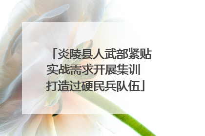 炎陵县人武部紧贴实战需求开展集训 打造过硬民兵队伍