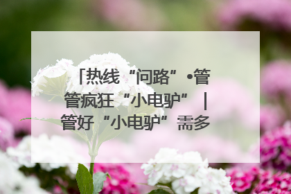 热线“问路”•管管疯狂“小电驴”｜管好“小电驴”需多部门形成合力