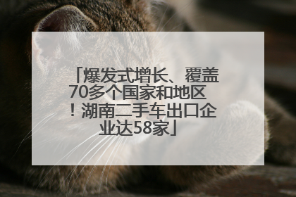 爆发式增长、覆盖70多个国家和地区！湖南二手车出口企业达58家