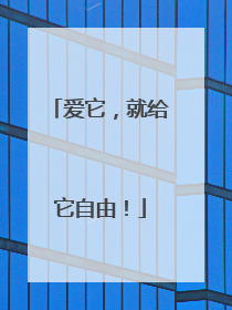 爱它，就给它自由！