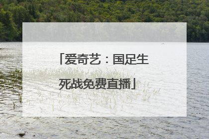爱奇艺：国足生死战免费直播