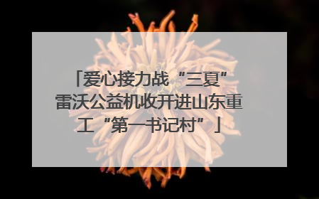 爱心接力战“三夏” 雷沃公益机收开进山东重工“第一书记村”