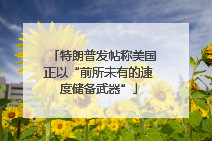 特朗普发帖称美国正以“前所未有的速度储备武器”