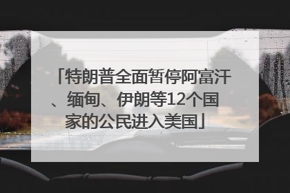 特朗普全面暂停阿富汗、缅甸、伊朗等12个国家的公民进入美国