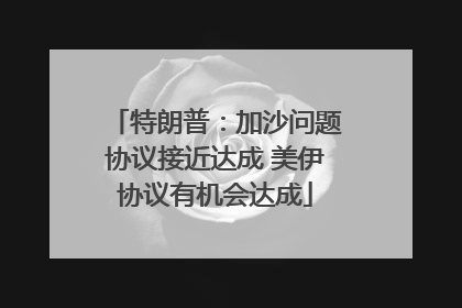 特朗普：加沙问题协议接近达成 美伊协议有机会达成