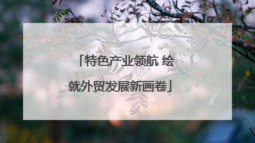 特色产业领航 绘就外贸发展新画卷