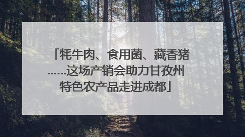牦牛肉、食用菌、藏香猪……这场产销会助力甘孜州特色农产品走进成都