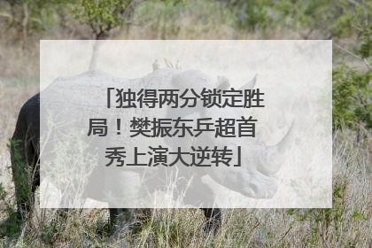 独得两分锁定胜局！樊振东乒超首秀上演大逆转