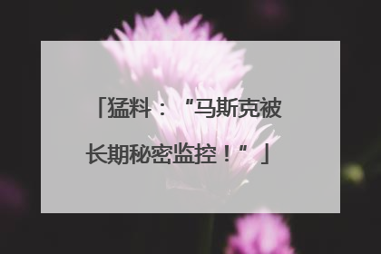 猛料：“马斯克被长期秘密监控！”