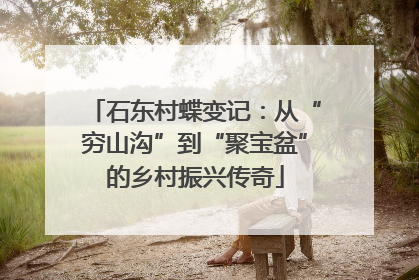 石东村蝶变记：从“穷山沟”到“聚宝盆”的乡村振兴传奇