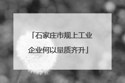 石家庄市规上工业企业何以量质齐升