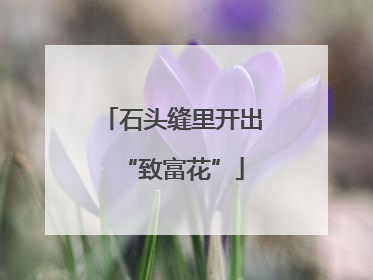 石头缝里开出“致富花”