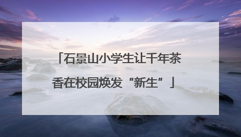 石景山小学生让千年茶香在校园焕发“新生”