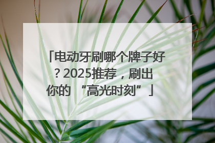 电动牙刷哪个牌子好？2025推荐，刷出你的 “高光时刻”