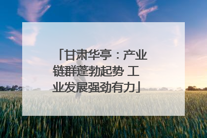 甘肃华亭：产业链群蓬勃起势 工业发展强劲有力