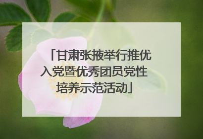 甘肃张掖举行推优入党暨优秀团员党性培养示范活动