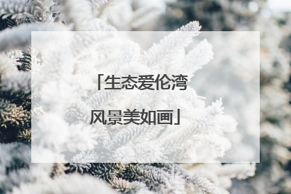 生态爱伦湾 风景美如画