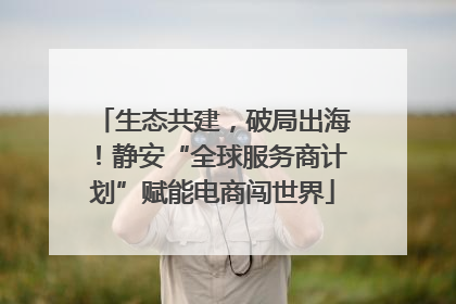 生态共建，破局出海！静安“全球服务商计划”赋能电商闯世界