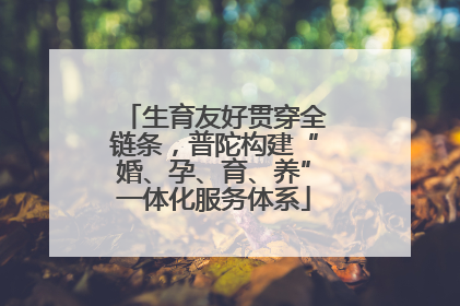 生育友好贯穿全链条，普陀构建“婚、孕、育、养”一体化服务体系