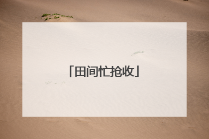 田间忙抢收