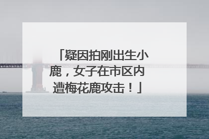 疑因拍刚出生小鹿，女子在市区内遭梅花鹿攻击！