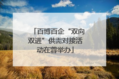 百博百企“双向双进”供需对接活动在蓉举办