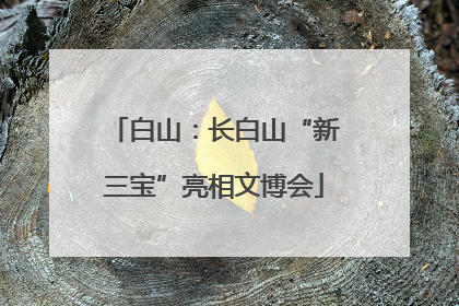 白山：长白山“新三宝”亮相文博会