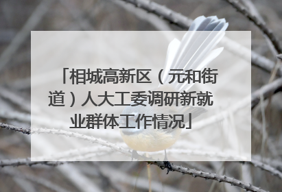 相城高新区（元和街道）人大工委调研新就业群体工作情况