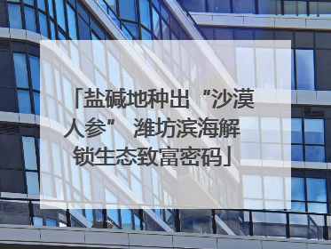 盐碱地种出“沙漠人参” 潍坊滨海解锁生态致富密码