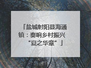 盐城射阳县海通镇：奏响乡村振兴“夏之华章”