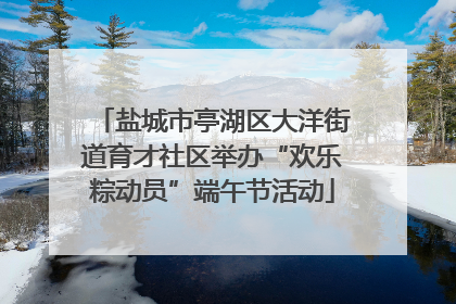盐城市亭湖区大洋街道育才社区举办“欢乐粽动员”端午节活动