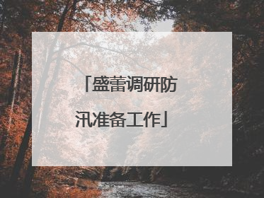 盛蕾调研防汛准备工作