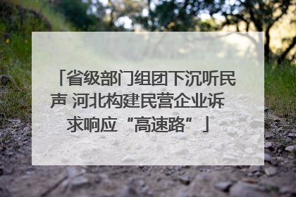 省级部门组团下沉听民声 河北构建民营企业诉求响应“高速路”