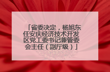 省委决定，杨旭东任安庆经济技术开发区党工委书记兼管委会主任（副厅级）