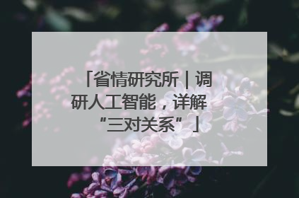 省情研究所｜调研人工智能，详解“三对关系”