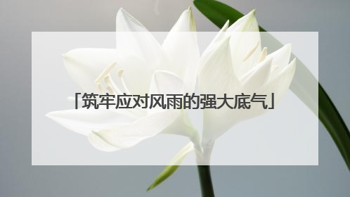 筑牢应对风雨的强大底气