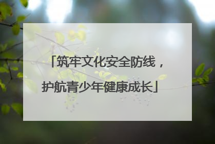 筑牢文化安全防线，护航青少年健康成长