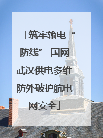 筑牢输电“防线” 国网武汉供电多维防外破护航电网安全