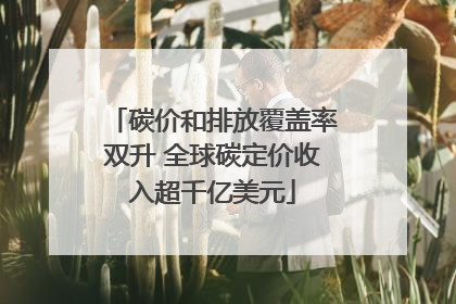 碳价和排放覆盖率双升 全球碳定价收入超千亿美元