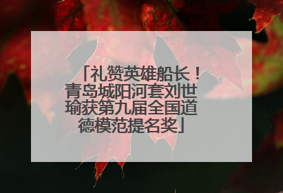 礼赞英雄船长！青岛城阳河套刘世瑜获第九届全国道德模范提名奖