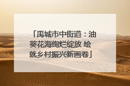 禹城市中街道：油葵花海绚烂绽放 绘就乡村振兴新画卷