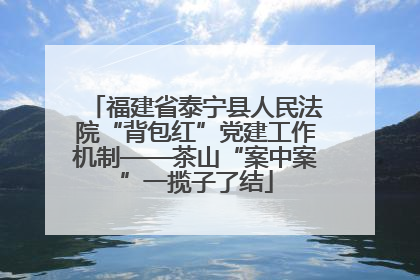 福建省泰宁县人民法院“背包红”党建工作机制——茶山“案中案”一揽子了结