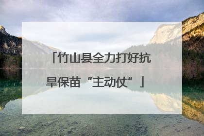 竹山县全力打好抗旱保苗“主动仗”