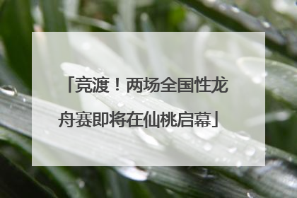 竞渡！两场全国性龙舟赛即将在仙桃启幕